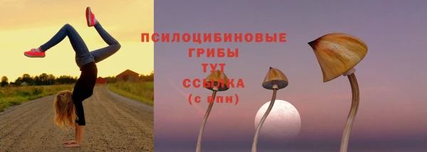 герыч Бородино