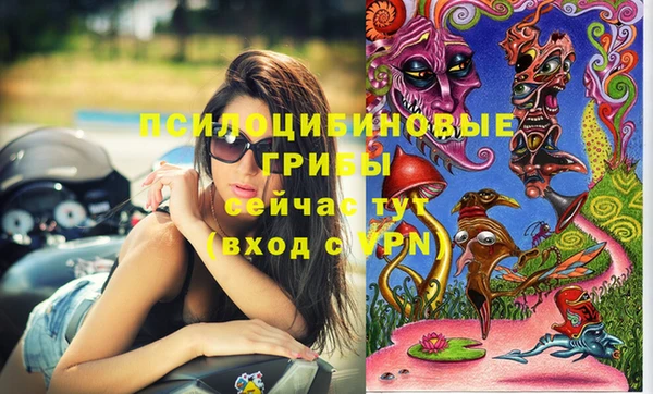 mdma Гатчина