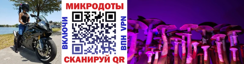 Галлюциногенные грибы ЛСД  Верхняя Тура 